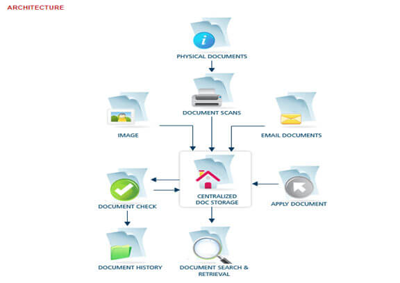 How does a document management system (DMS) work