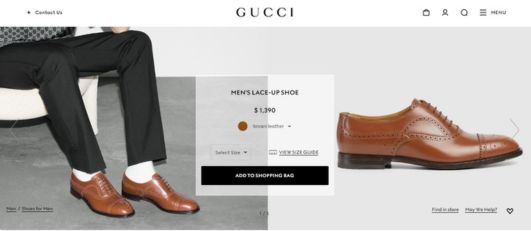 Gucci luxury shoe brands with iconic designs.