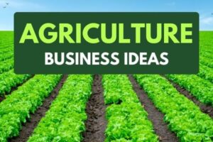 Most Profitable Money Making Agriculture Business Ideas in India