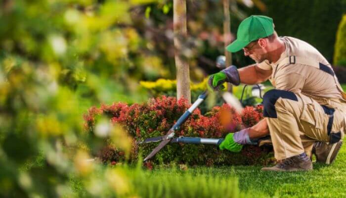 How to Choose the Best Gardening Services for Your Garden