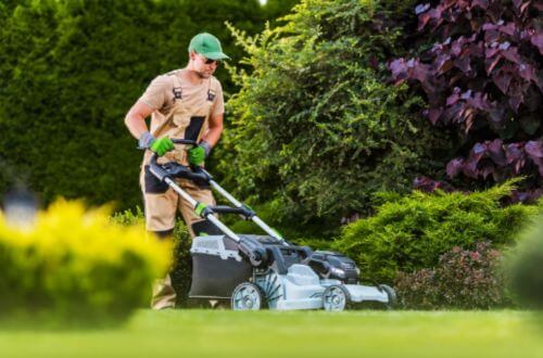 Key Factors to Consider When Choosing Gardening Services