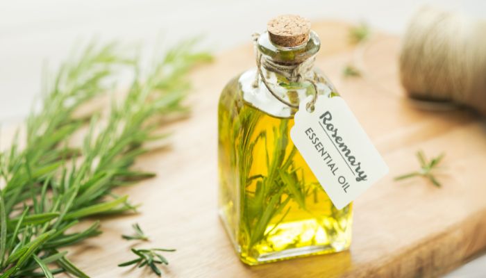 Benefits of Rosemary Essential Oil for Hair Growth