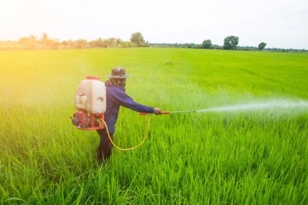 How to Choose the Best Agriculture Spray Pump