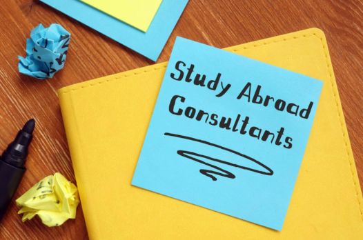 List of Top 10 Best Study Abroad Consultants in India