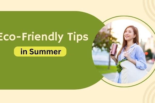 Eco-Friendly Tips in Summer: Your Ultimate Guide to a Greener, Cooler Season Eco-Friendly Tips in Summer