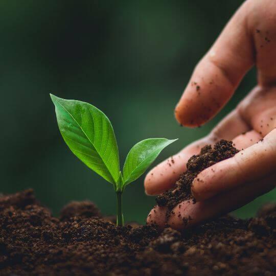 Regenerative Agriculture Practices