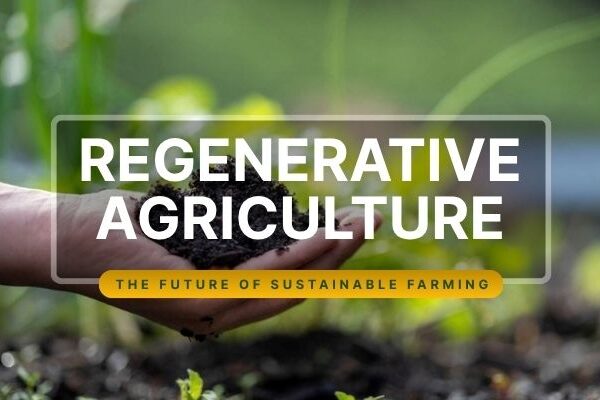 Regenerative Agriculture: The Future of Sustainable Farming Regenerative Agriculture: The Future of Sustainable Farming