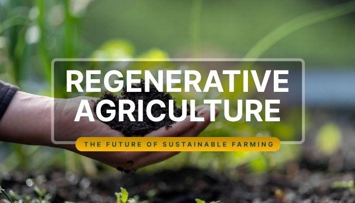 Regenerative Agriculture: The Future of Sustainable Farming