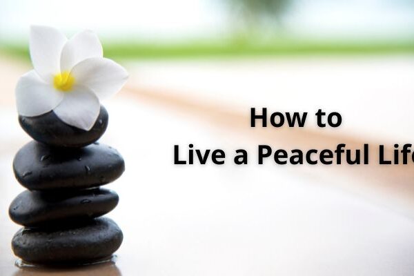 Living a Peaceful Life: The Complete Guide to Gaining Inner Peace and Joy In your Everyday How to Live a Peaceful Life
