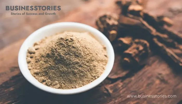 What is Qust al Hindi? Complete Guide to the Ancient Healing Herb