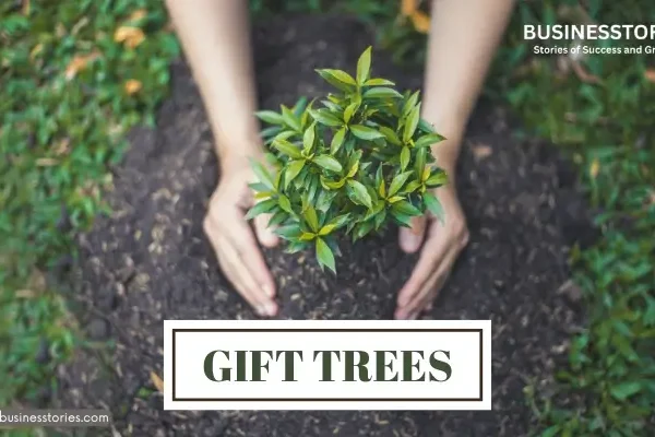 Gift Trees: A Sustainable Gift Idea That Gives Back Gift Trees: A Sustainable Gift Idea That Gives Back