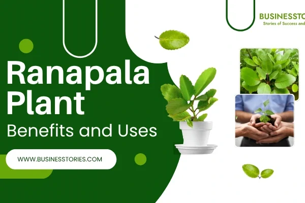 Ranapala Plant Benefits and How to Use It