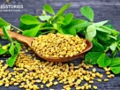 Foenegriek: Uses, Benefits & Secrets You Didn’t Know?
