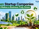 Green Startup Companies-What Makes a Business Truly Green