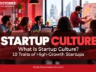 What Is Startup Culture-10 Traits of High-Growth Startups